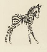 Ren&eacute;e Sintenis. Young Zebra (Junges Zebra). unknown