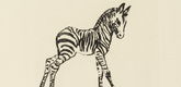 Ren&eacute;e Sintenis. Young Zebra (Junges Zebra). unknown