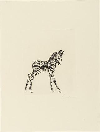 Ren&eacute;e Sintenis. Young Zebra (Junges Zebra). unknown