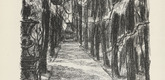 Alfred Kunze. Alley of Trees (Baumallee) (plate, preceding p. 73) from K&uuml;nstler abseits vom Wege. 10 Jahre deutscher Kunst in der Provinz. 1918
