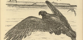 August Gaul. To England (Nach England)  (in-text plate, p. 111) from the periodical Kriegszeit. K&uuml;nstlerflugbl&auml;tter, vol. 1, no. 28 (24 Feb 1915). 1915