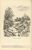 Erich B&uuml;ttner. Hand to Hand Fighting in Champagne (Nahkampf in der Champagne) (in-text plate, p. 134) from the periodical Kriegszeit. K&uuml;nstlerflugbl&auml;tter, vol. 1, no. 33 (31 March 1915). 1915