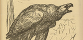 August Gaul. Tirol (in-text plate, p. 179) from the periodical Kriegszeit. K&uuml;nstlerflugbl&auml;tter, vol. 1, no. 45 (24 June 1915). 1915