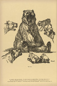 August Gaul. The Bear Held at Bay (Der gestellte B&auml;r) (plate, p. 202) from the periodical Kriegszeit. K&uuml;nstlerflugbl&auml;tter, vol. 1, no. 50 (5 Aug 1915). 1915