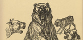 August Gaul. The Bear Held at Bay (Der gestellte B&auml;r) (plate, p. 202) from the periodical Kriegszeit. K&uuml;nstlerflugbl&auml;tter, vol. 1, no. 50 (5 Aug 1915). 1915