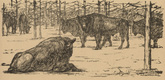 August Gaul. In the Bialowieza Forest  (In der Bjelowjesher Heide) (headpiece, p. 220) from the periodical Kriegszeit. K&uuml;nstlerflugbl&auml;tter, vol. 1, no. 55 (15 Oct 1915). 1915