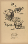 August Gaul. Bad Moods (Verstimmungen) (headpiece, p. 224) from the periodical Kriegszeit. K&uuml;nstlerflugbl&auml;tter, vol. 1, no. 56 (1 Nov 1915). 1915
