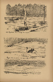 August Gaul. Soldiers' Graves in Poland (Soldatengr&auml;ber in Polen) (plate, p. 237) from the periodical Kriegszeit. K&uuml;nstlerflugbl&auml;tter, vol. 1, no. 59 (Dec 1915). 1915