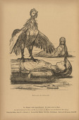 August Gaul. Saloniki-ki-kikeriki (in-text plate, p. 242) from the periodical Kriegszeit. K&uuml;nstlerflugbl&auml;tter, vol. 1, no. 60 (Jan 1916). 1916