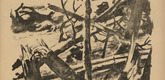 Willy Jaeckel. Forest Shot to Pieces (Zerschossener Wald) (plate, p. 249) from the periodical Kriegszeit. K&uuml;nstlerflugbl&auml;tter, vol. 1, no. 62 (Feb 1916). 1916