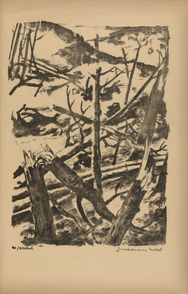 Willy Jaeckel. Forest Shot to Pieces (Zerschossener Wald) (plate, p. 249) from the periodical Kriegszeit. K&uuml;nstlerflugbl&auml;tter, vol. 1, no. 62 (Feb 1916). 1916