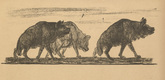 August Gaul. Tailpiece (p. 43) from the periodical Kriegszeit. K&uuml;nstlerflugbl&auml;tter, vol. 1, no. 11 (4 Nov 1914). 1914