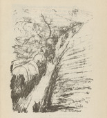 Walther Teutsch. Untitled (Trail in the Barrage) (plate, [p. 345]) from the periodical  Zeit-Echo. Ein Kriegs-Tagebuch der K&uuml;nstler, vol. 1, no. 23/24 (Sept 1915). 1915
