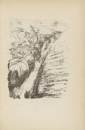 Walther Teutsch. Untitled (Trail in the Barrage) (plate, [p. 345]) from the periodical  Zeit-Echo. Ein Kriegs-Tagebuch der K&uuml;nstler, vol. 1, no. 23/24 (Sept 1915). 1915
