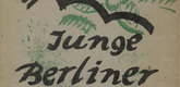 Various Artists with Ernst Fritsch, Arthur Grunenberg, Franz Heckendorf, Adolf K&ouml;glsperger, Wilhelm Kohlhoff, Bruno Krauskopf, Erika M. K&uuml;nzig, Martel Schwichtenberg, Erich Waske. Junge Berliner Kunst, no. 6. 1919-1920
