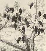 August Gaul. The Raven (Die Raben) (plate, folio 10 verso) from the periodical Der Bildermann, vol. 1, no. 5 (Jun 1916). 1916
