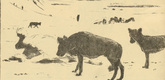 August Gaul. Wolves in the Carpathian Mountains (W&ouml;lfe in den Karpathen) (in-text plate, p. 86) from the periodical Kriegszeit. K&uuml;nstlerflugbl&auml;tter, vol. 1, no. 21 (6 Jan 1915). 1915