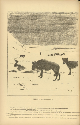 August Gaul. Wolves in the Carpathian Mountains (W&ouml;lfe in den Karpathen) (in-text plate, p. 86) from the periodical Kriegszeit. K&uuml;nstlerflugbl&auml;tter, vol. 1, no. 21 (6 Jan 1915). 1915