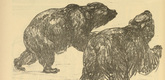 August Gaul. Hindenburg Is Coming! (Der Hindenburg kommt) (plate, p. 88) from the periodical Kriegszeit. K&uuml;nstlerflugbl&auml;tter, vol. 1, no. 22 (13 Jan 1915). 1915