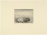 Otto Dix. Shell Crater with Flowers (Spring 1916) [Granattrichter mit Blumen (Fr&uuml;hling 1916)] from The War (Der Krieg). (1924)