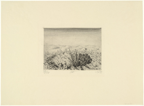 Otto Dix. Shell Crater with Flowers (Spring 1916) [Granattrichter mit Blumen (Fr&uuml;hling 1916)] from The War (Der Krieg). (1924)