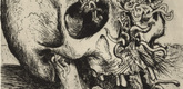 Otto Dix. Skull (Sch&auml;del)  from The War (Der Krieg). (1924)