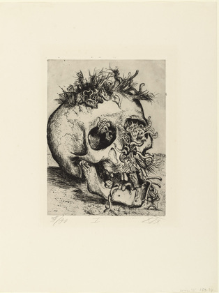 Otto Dix. Skull (Sch&auml;del)  from The War (Der Krieg). (1924)