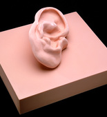 Louise Bourgeois. Ear. 2002