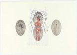 Louise Bourgeois. The Young Girl. 2006