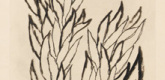 Louise Bourgeois. Leaves 1. 2006