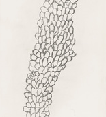 Louise Bourgeois. Plate 2 of 7 from Look Up! 2005