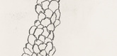 Louise Bourgeois. Plate 5 of 7 from Look Up! 2005