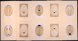 Louise Bourgeois. the puritan: study #32 of 59. 1990-1997
