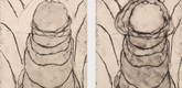 Louise Bourgeois. La Maladie de l'Amour. 2008