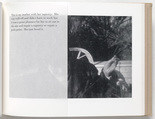 Louise Bourgeois. Untitled, no. 44 of 69, from the illustrated book, Album. 1994
