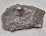 Louise Bourgeois. The Five Senses: Seeing. 2005