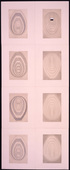 Louise Bourgeois. the puritan: study #50 of 59. 1990-1997