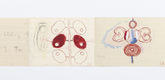 Louise Bourgeois. Untitled, no. 3 of 9, from the series, To the Voyeur. 2009