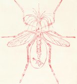 Louise Bourgeois. Mosquito. 1999