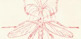 Louise Bourgeois. Mosquito. 1999