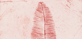 Louise Bourgeois. Feather Thoughts. 2006