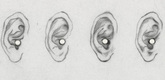 Louise Bourgeois. Ears. 2004
