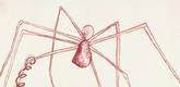 Louise Bourgeois. Untitled (Spider and Snake). 2003