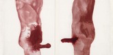 Louise Bourgeois. Male Couple. 2009