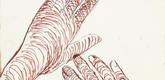 Louise Bourgeois. Hands. 2002