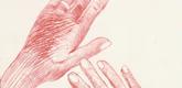 Louise Bourgeois. Hands. 2002-2003