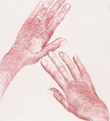 Louise Bourgeois. Hands. 2002-2003
