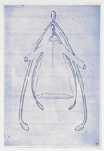 Louise Bourgeois. Wishbone. 1999