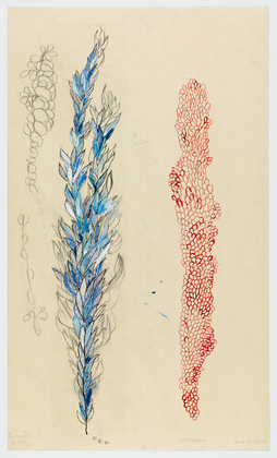 Louise Bourgeois. Eccentric Growth IX. 2006