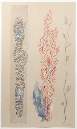 Louise Bourgeois. Eccentric Growth VIII. 2006